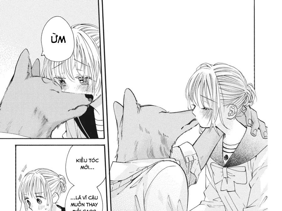 Kimi To Koete Koi Ni Naru Chapter 17 - Trang 2