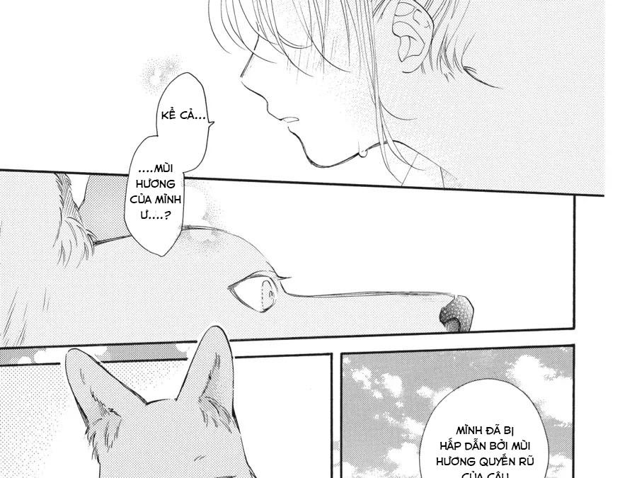 Kimi To Koete Koi Ni Naru Chapter 17 - Trang 2