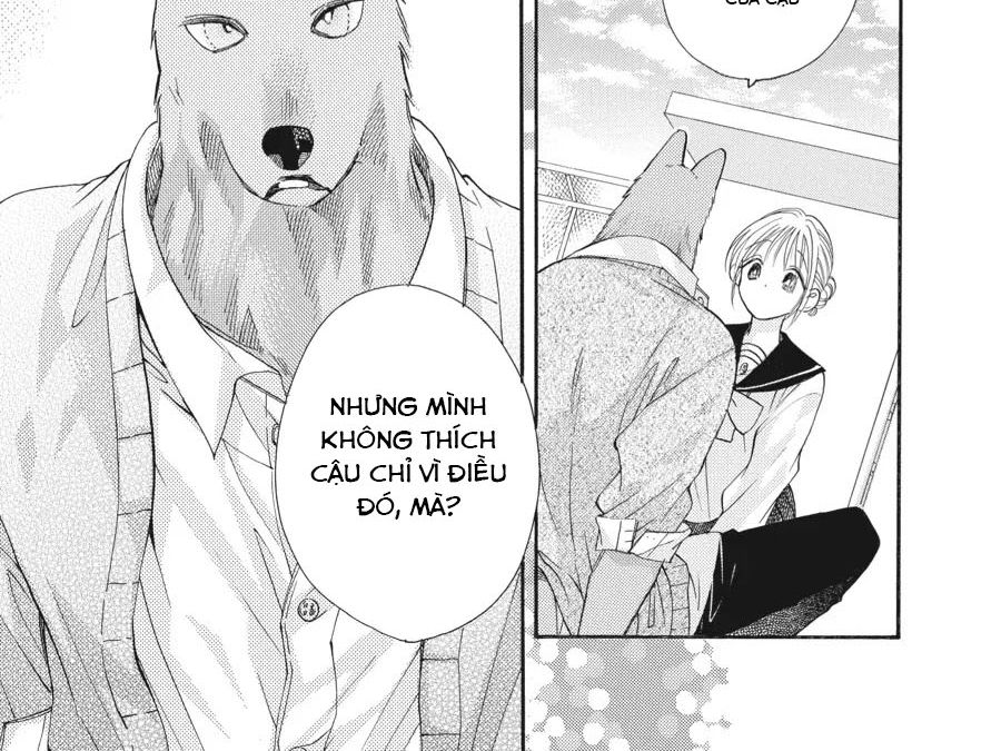 Kimi To Koete Koi Ni Naru Chapter 17 - Trang 2