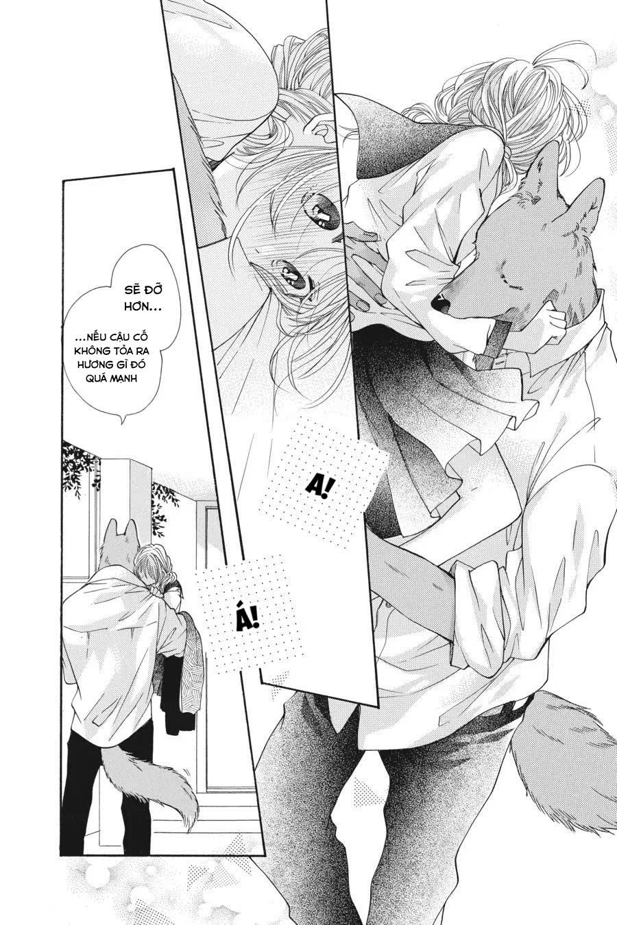 Kimi To Koete Koi Ni Naru Chapter 7 - Trang 2