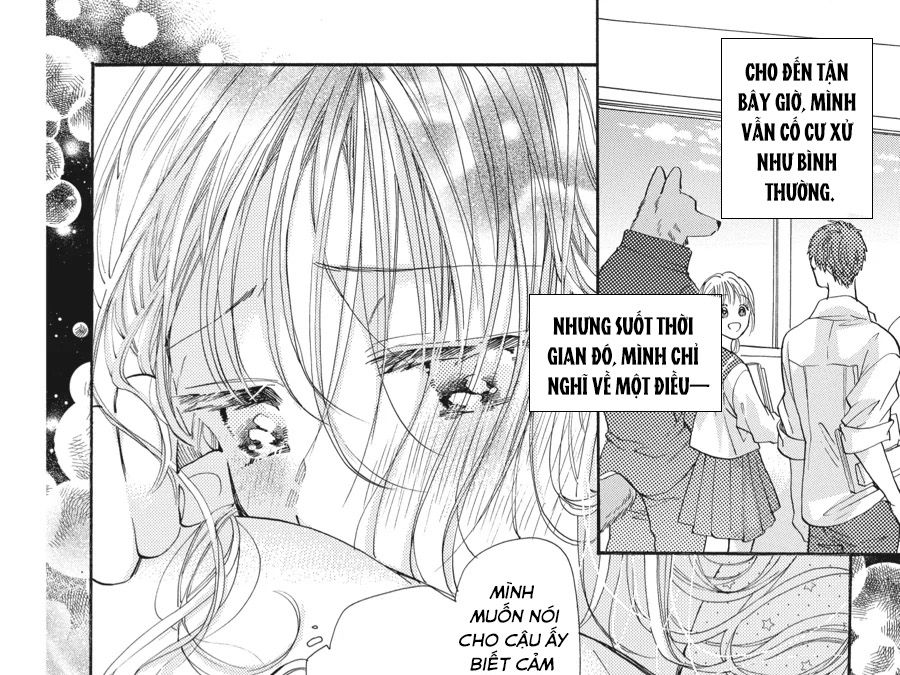 Kimi To Koete Koi Ni Naru Chapter 8 - Trang 2