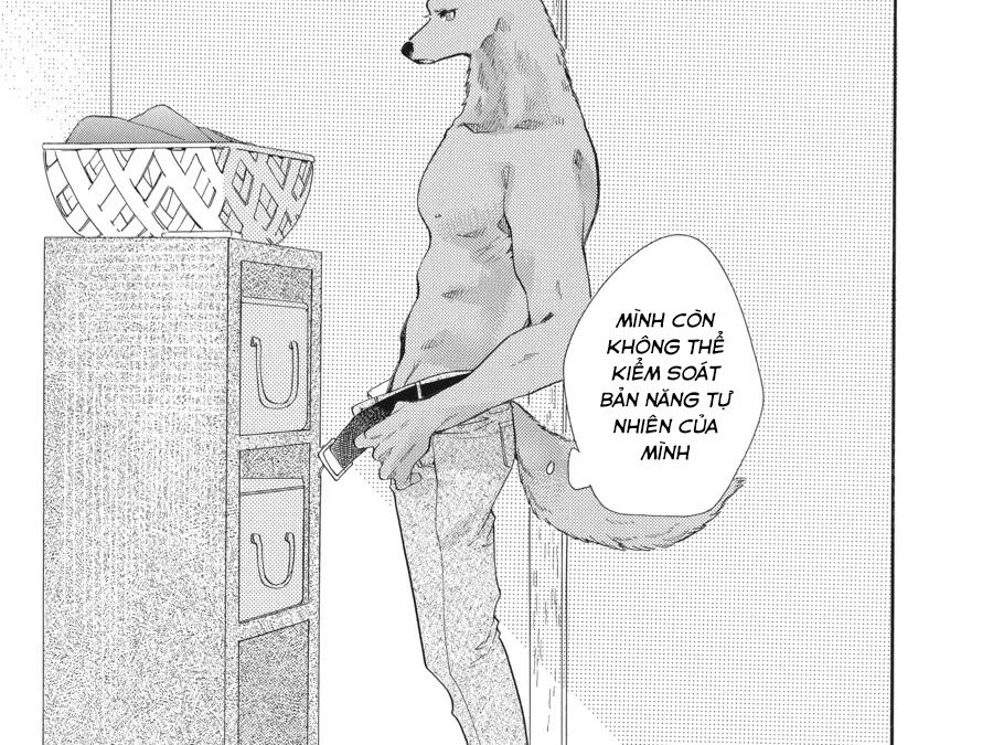 Kimi To Koete Koi Ni Naru Chapter 9 - Trang 2