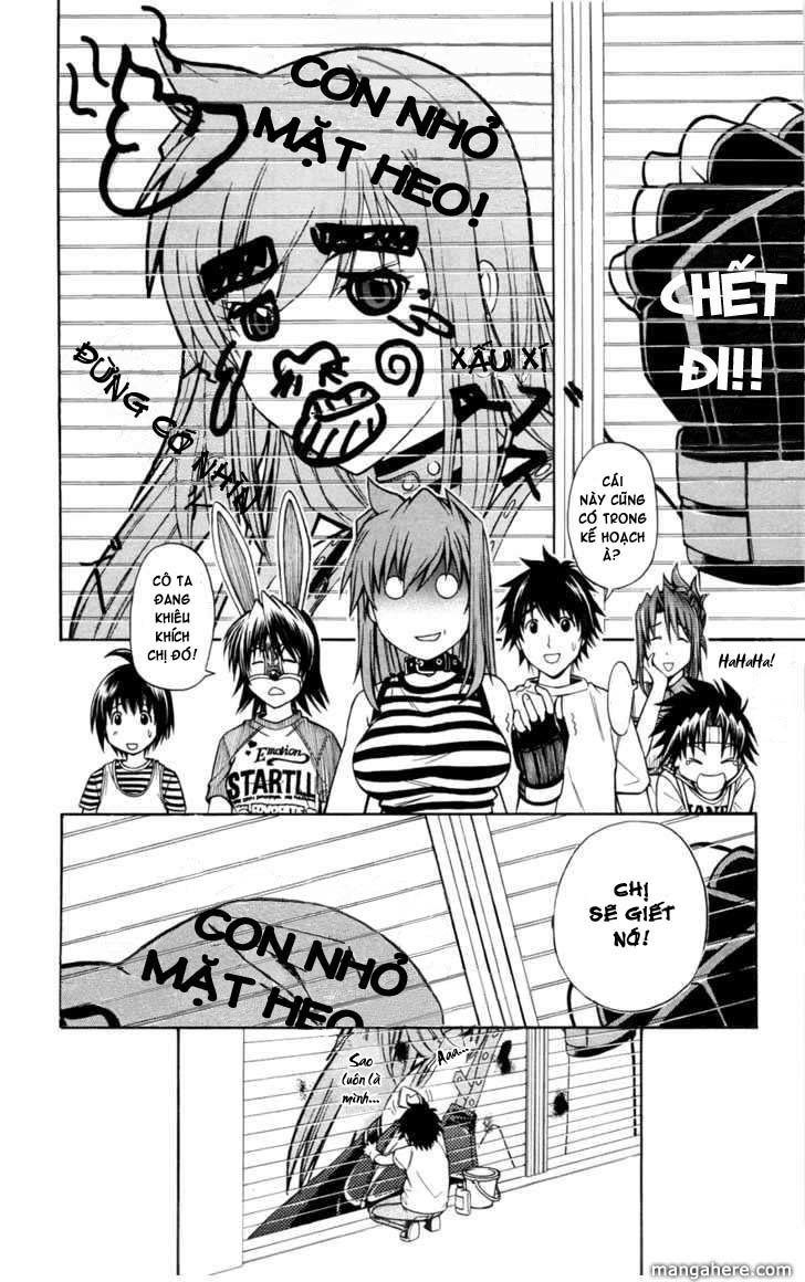 Koko Ga Uwasa No El Palacio Chapter 12 - Trang 2