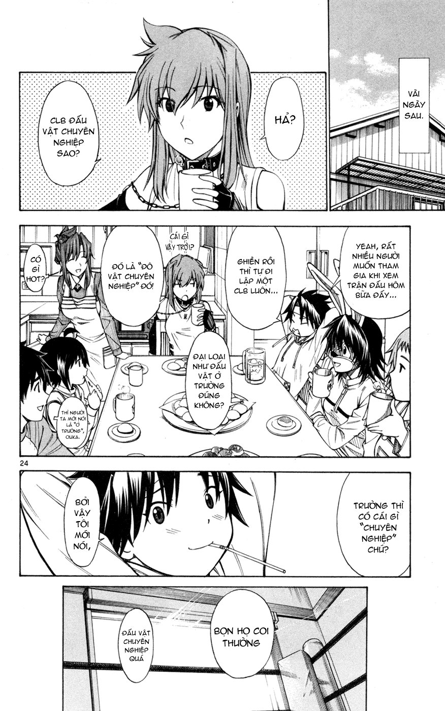 Koko Ga Uwasa No El Palacio Chapter 35 - Trang 2