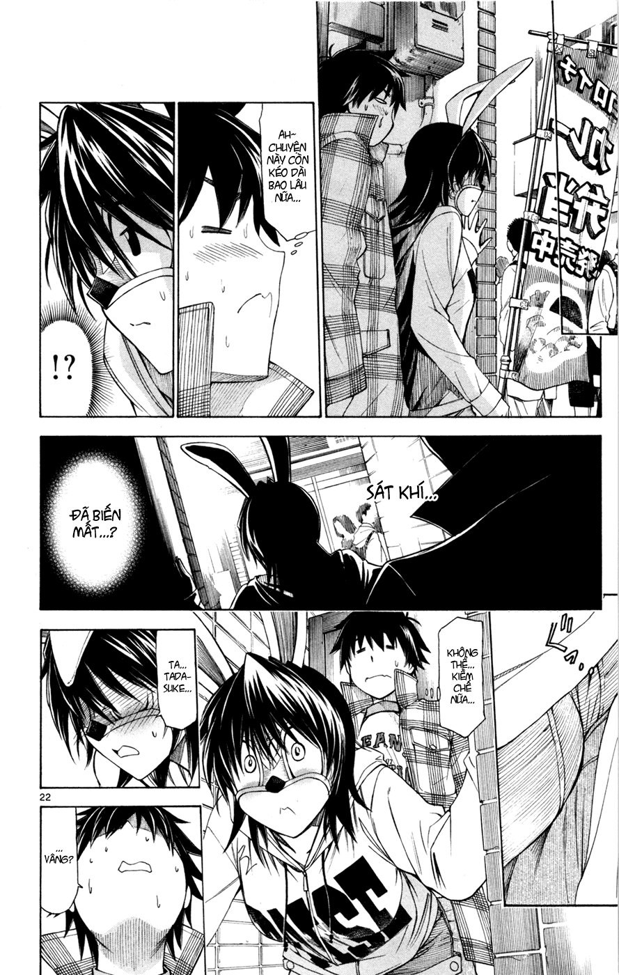 Koko Ga Uwasa No El Palacio Chapter 37 - Trang 2