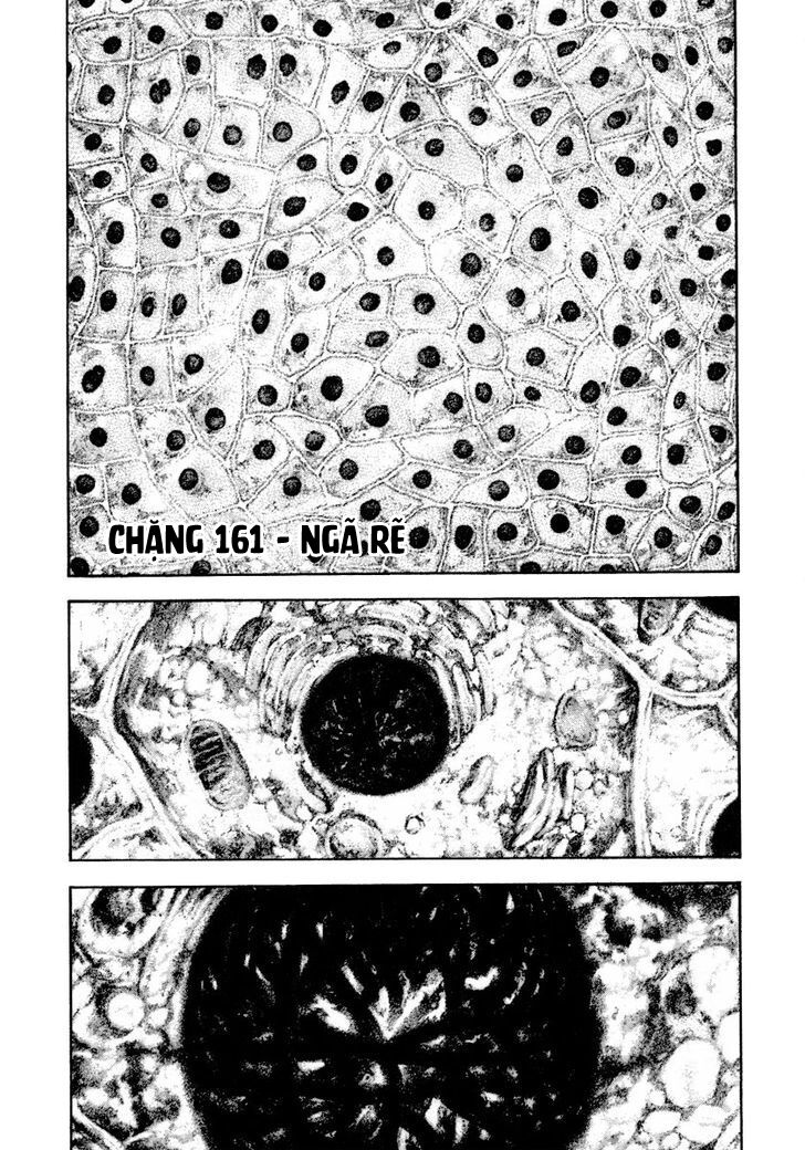 Kokou No Hito Chapter 161 - Trang 2
