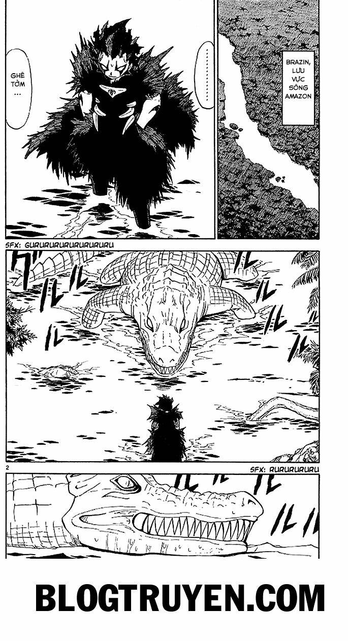 Konjiki No Gash!! Chapter 54 - Trang 2