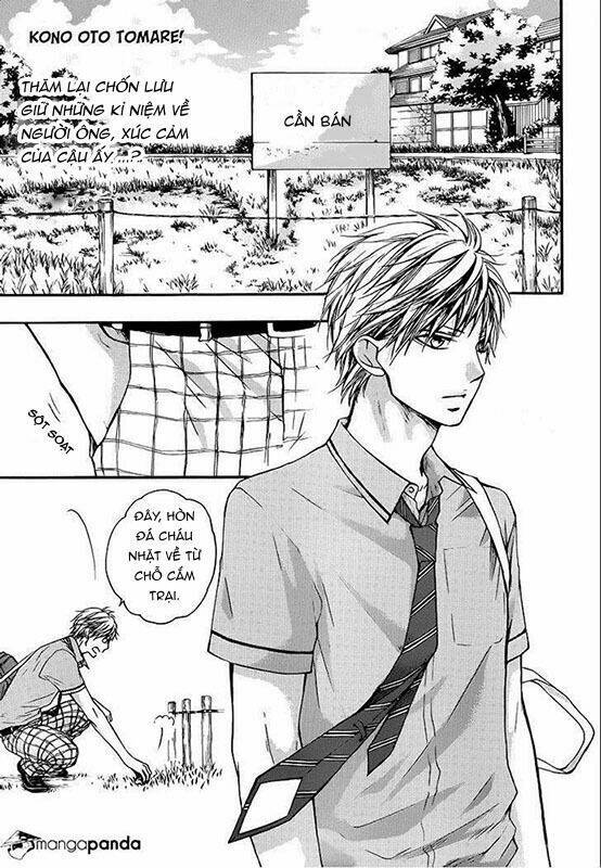 Kono Oto Tomare! Chapter 22 - Trang 2