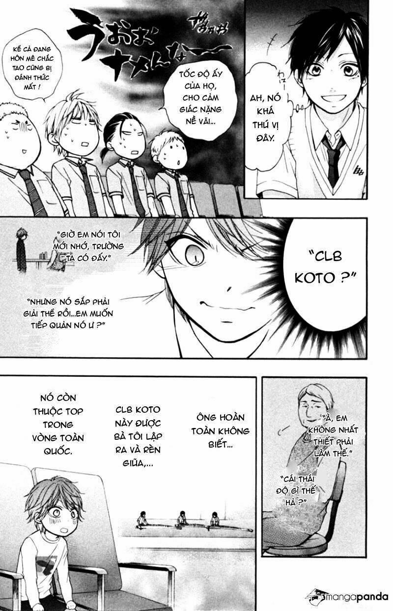 Kono Oto Tomare! Chapter 24 - Trang 2