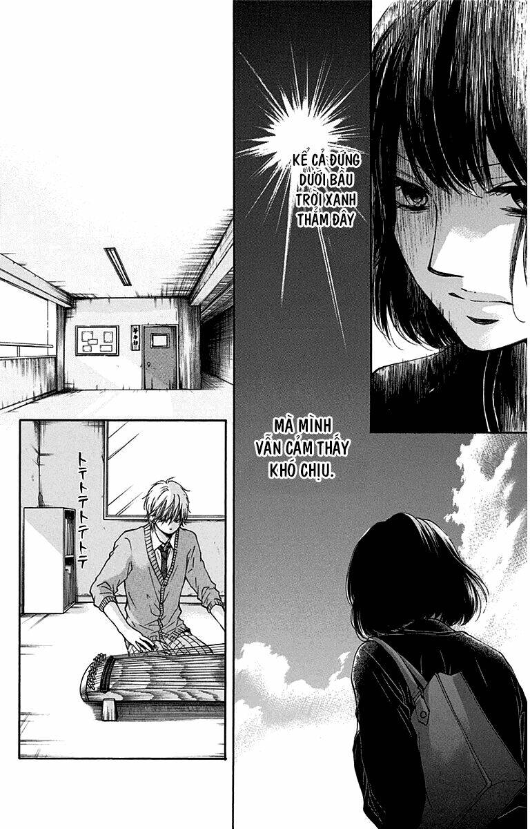 Kono Oto Tomare! Chapter 36 - Trang 2