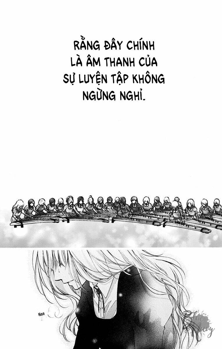 Kono Oto Tomare! Chapter 46 - Trang 2