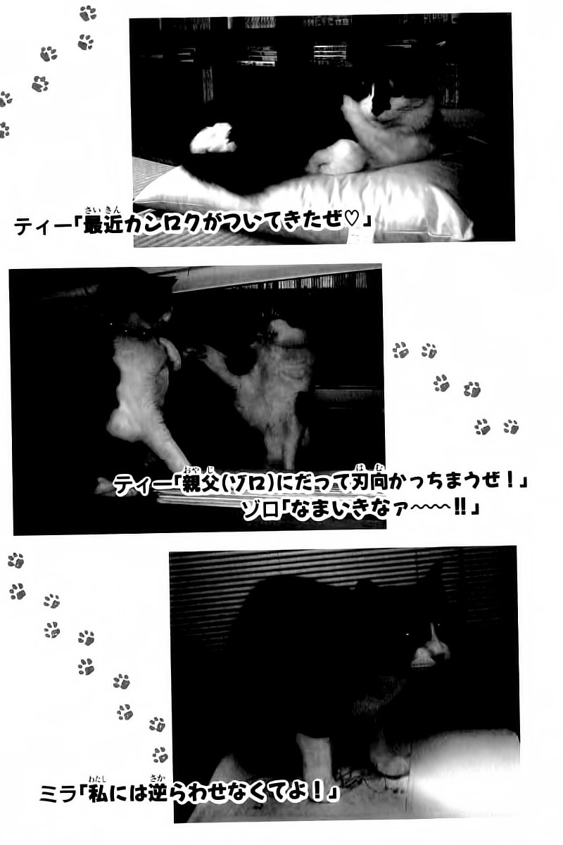 Kotaro Makaritoru! L Chapter 39 - Trang 2