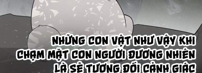 Kỷ Nguyên Siêu Anh Hùng Chapter 70 - Trang 2