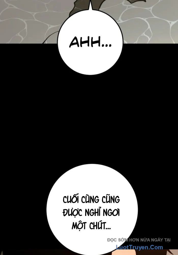 Kỵ Sĩ Lang Thang Chapter 14 - Trang 2