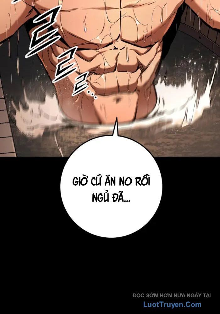 Kỵ Sĩ Lang Thang Chapter 14 - Trang 2