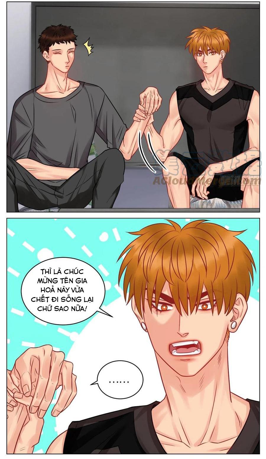 Ký Túc Xá Nam Phòng 303 Chapter 180 - Trang 2