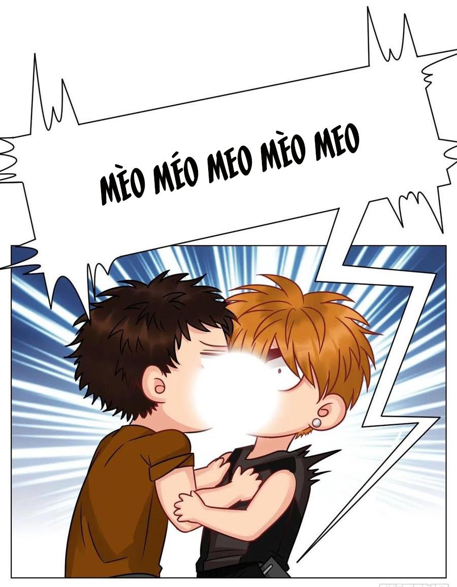 Ký Túc Xá Nam Phòng 303 Chapter 187 - Trang 2