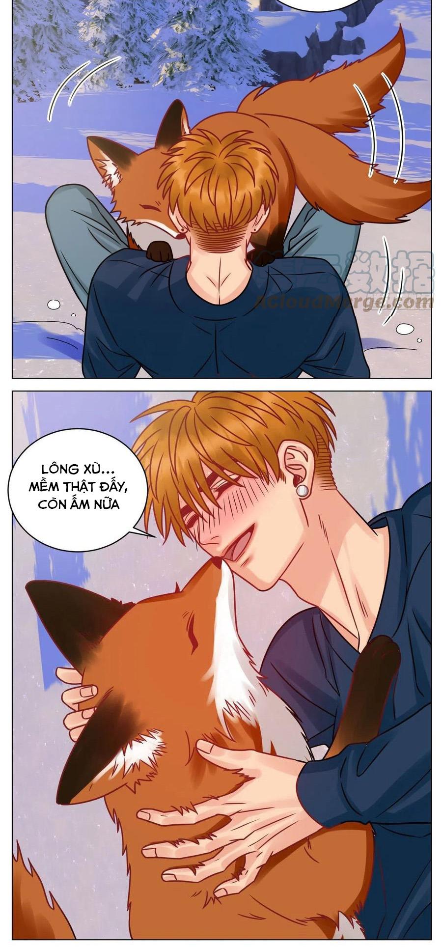 Ký Túc Xá Nam Phòng 303 Chapter 189 - Trang 2