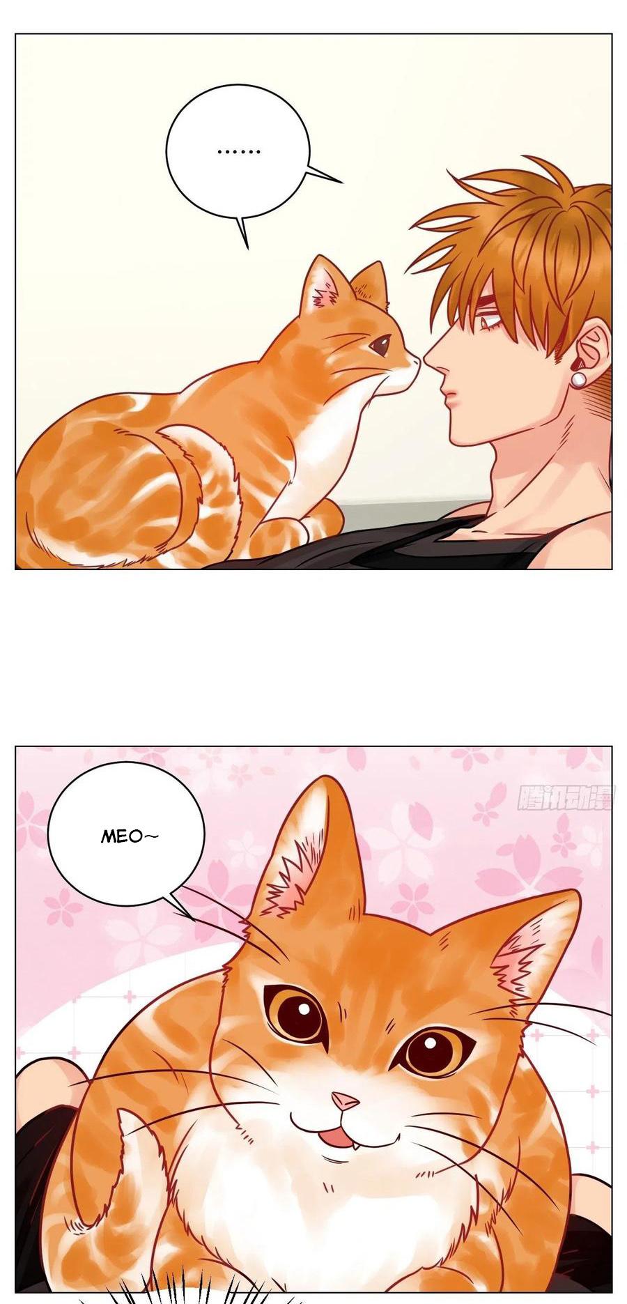 Ký Túc Xá Nam Phòng 303 Chapter 189 - Trang 2