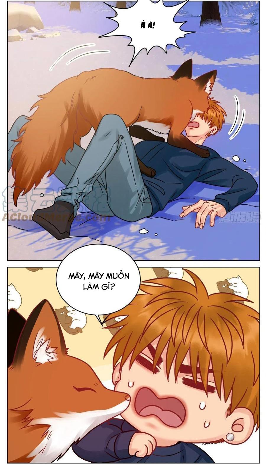 Ký Túc Xá Nam Phòng 303 Chapter 189 - Trang 2