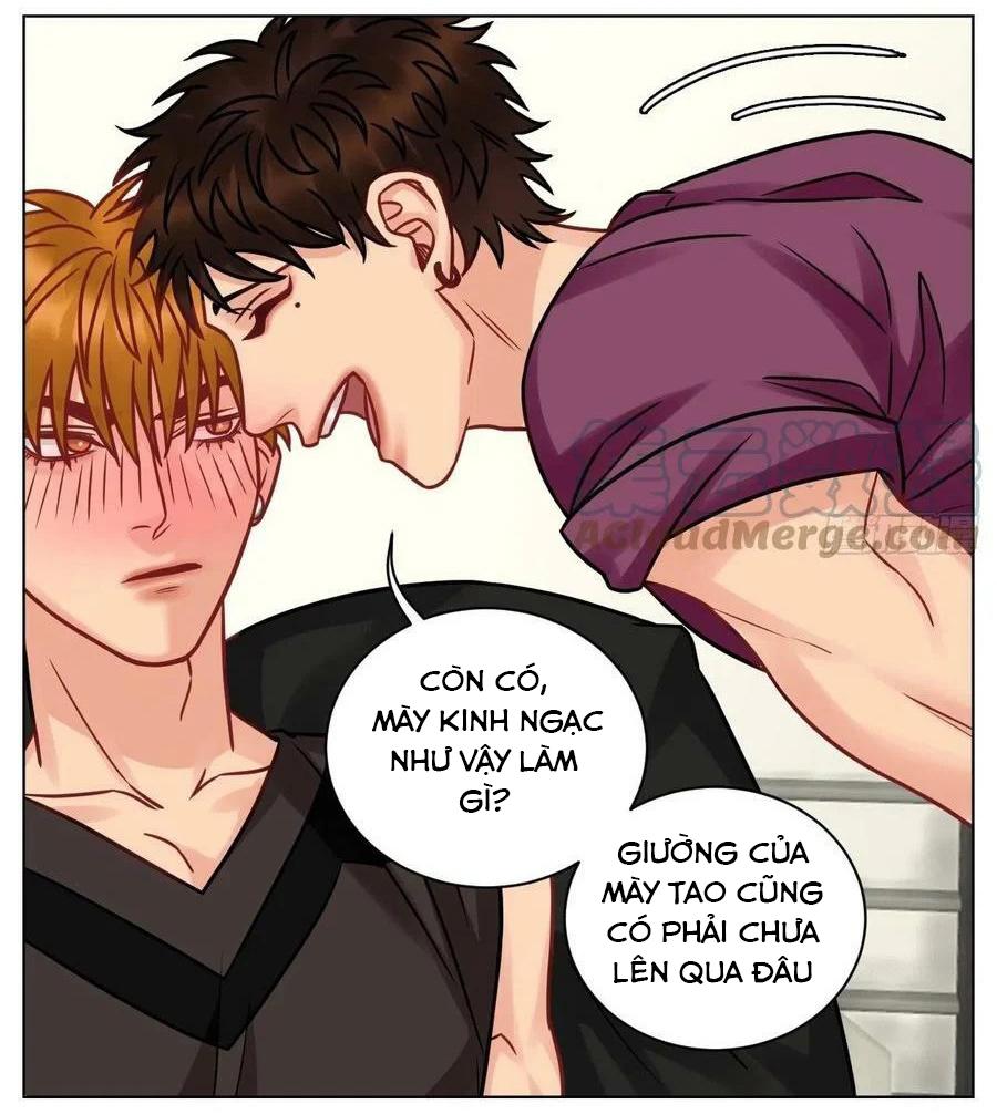 Ký Túc Xá Nam Phòng 303 Chapter 191 - Trang 2