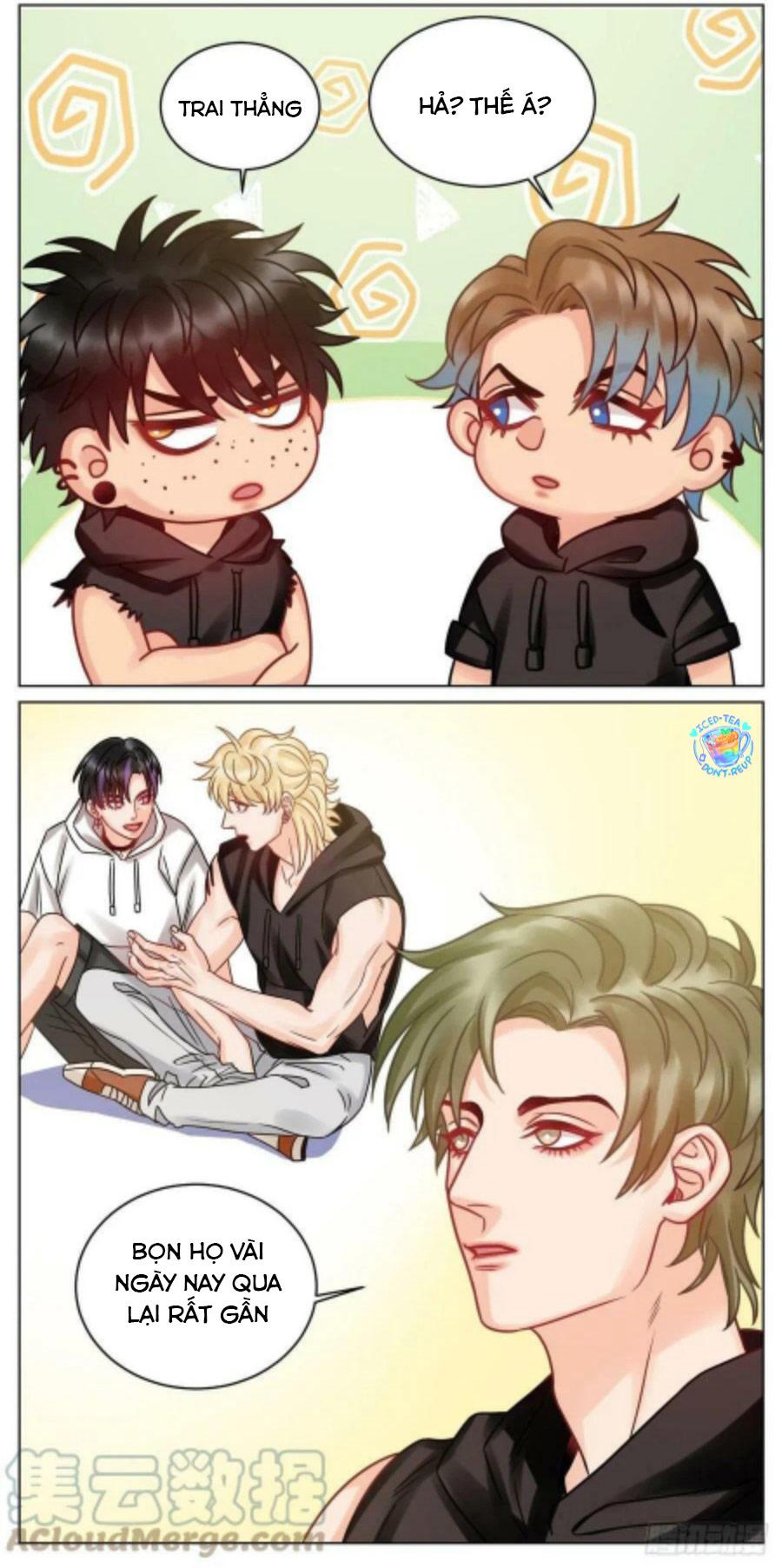 Ký Túc Xá Nam Phòng 303 Chapter 192 - Trang 2