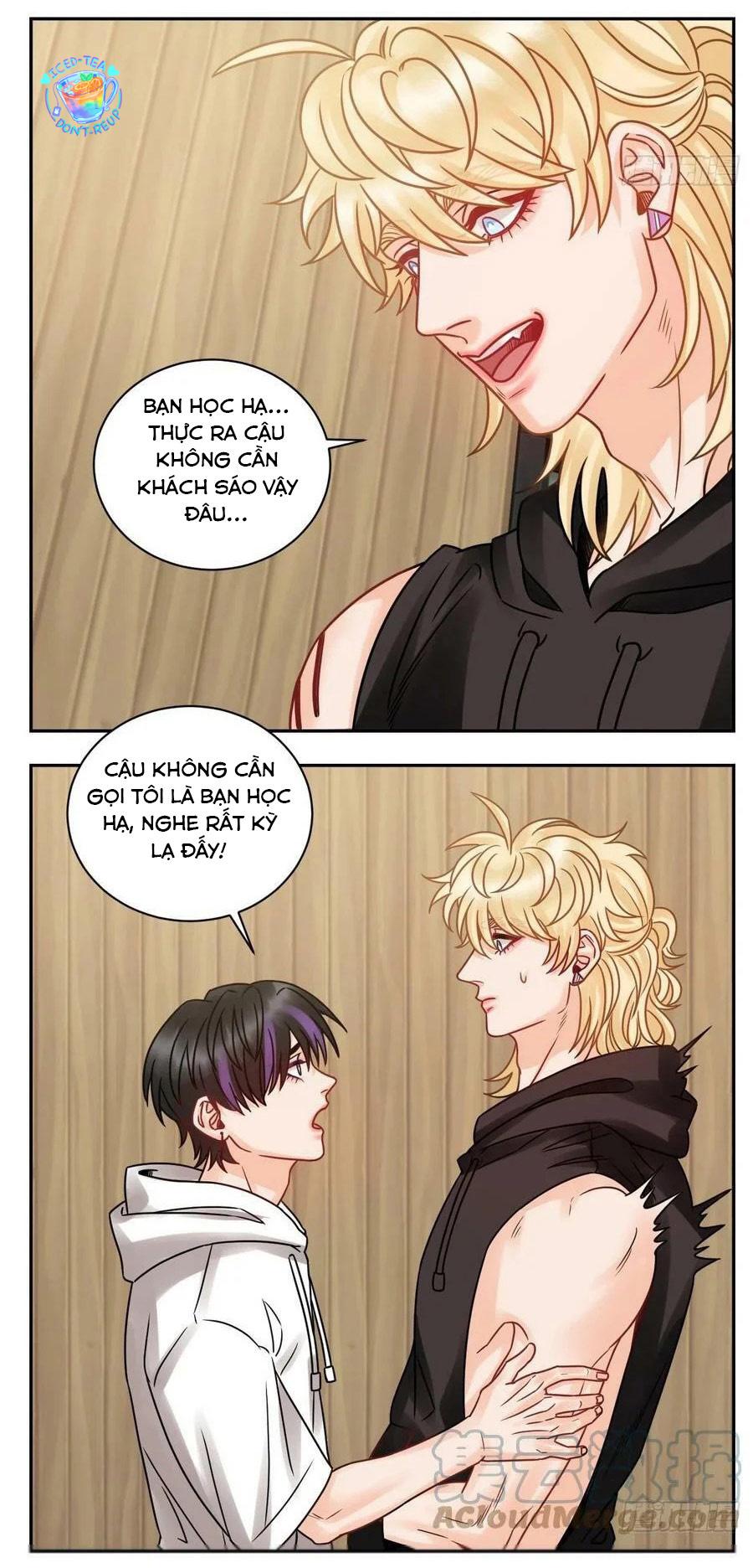 Ký Túc Xá Nam Phòng 303 Chapter 192 - Trang 2