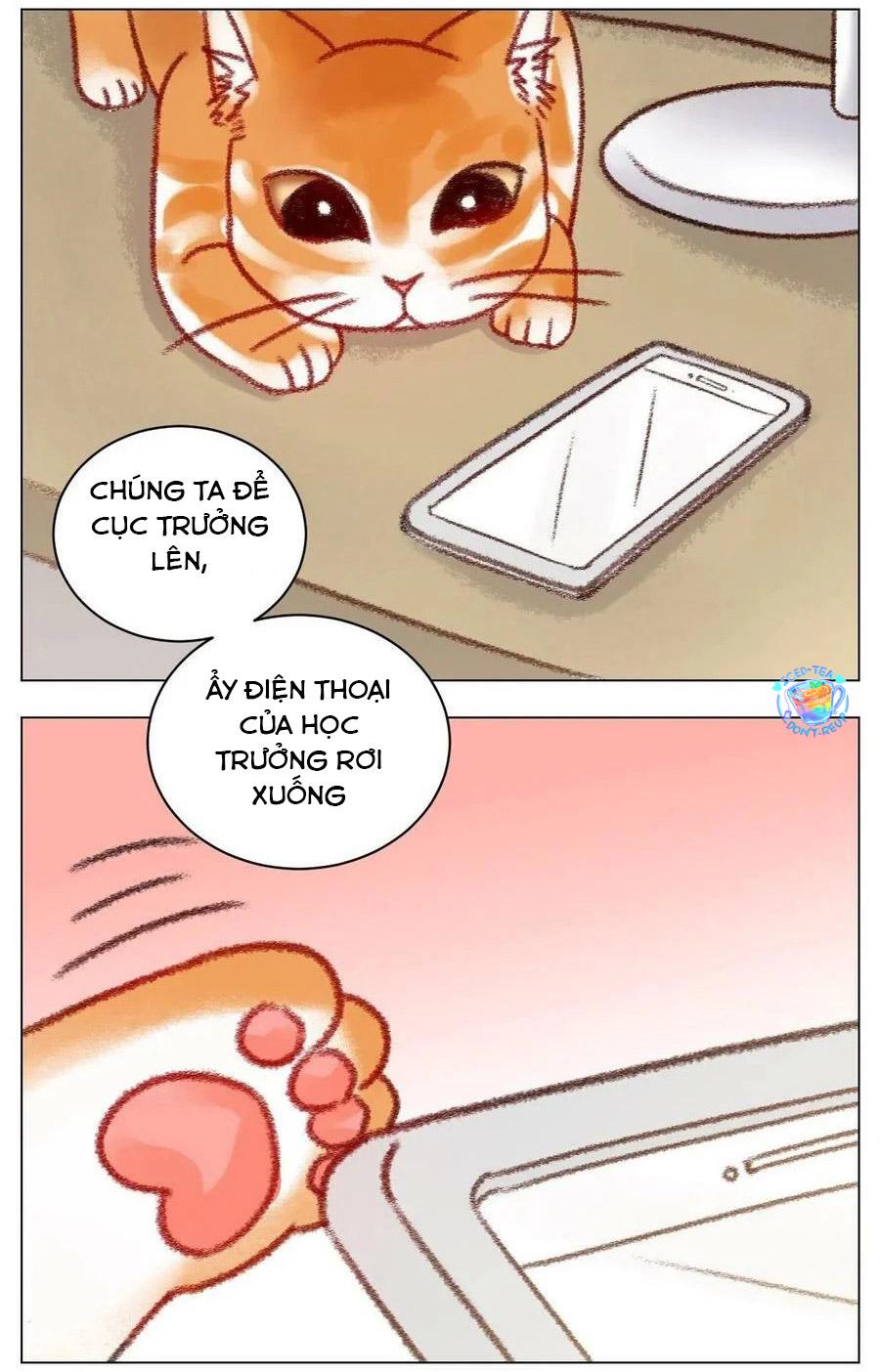 Ký Túc Xá Nam Phòng 303 Chapter 196 - Trang 2