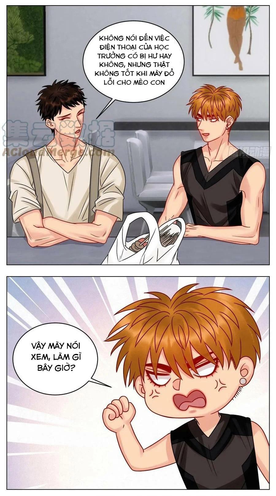 Ký Túc Xá Nam Phòng 303 Chapter 196 - Trang 2