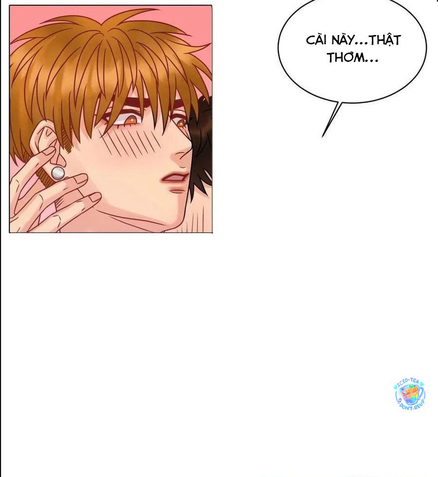 Ký Túc Xá Nam Phòng 303 Chapter 199 - Trang 2