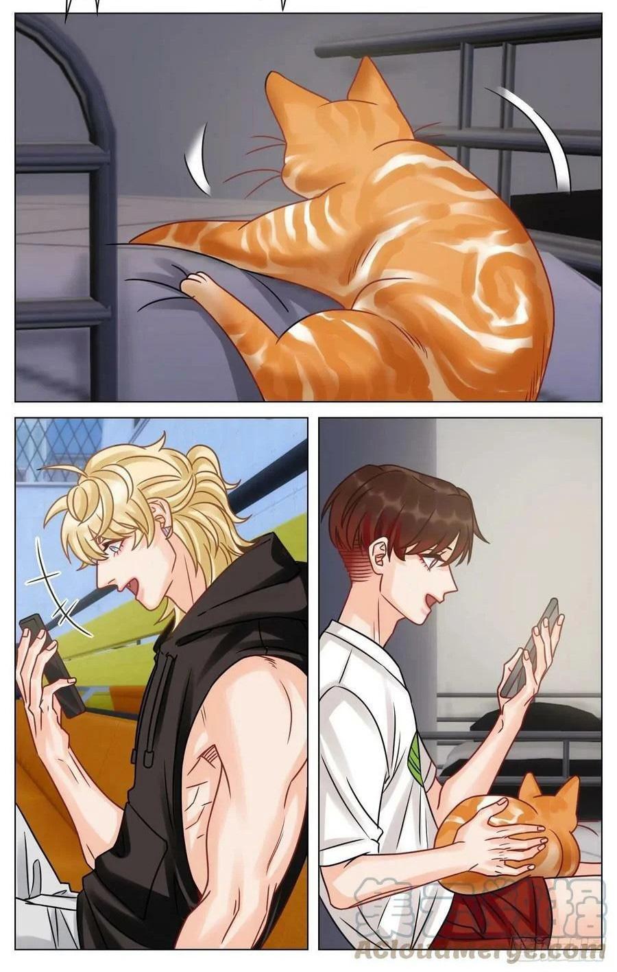 Ký Túc Xá Nam Phòng 303 Chapter 200 - Trang 2