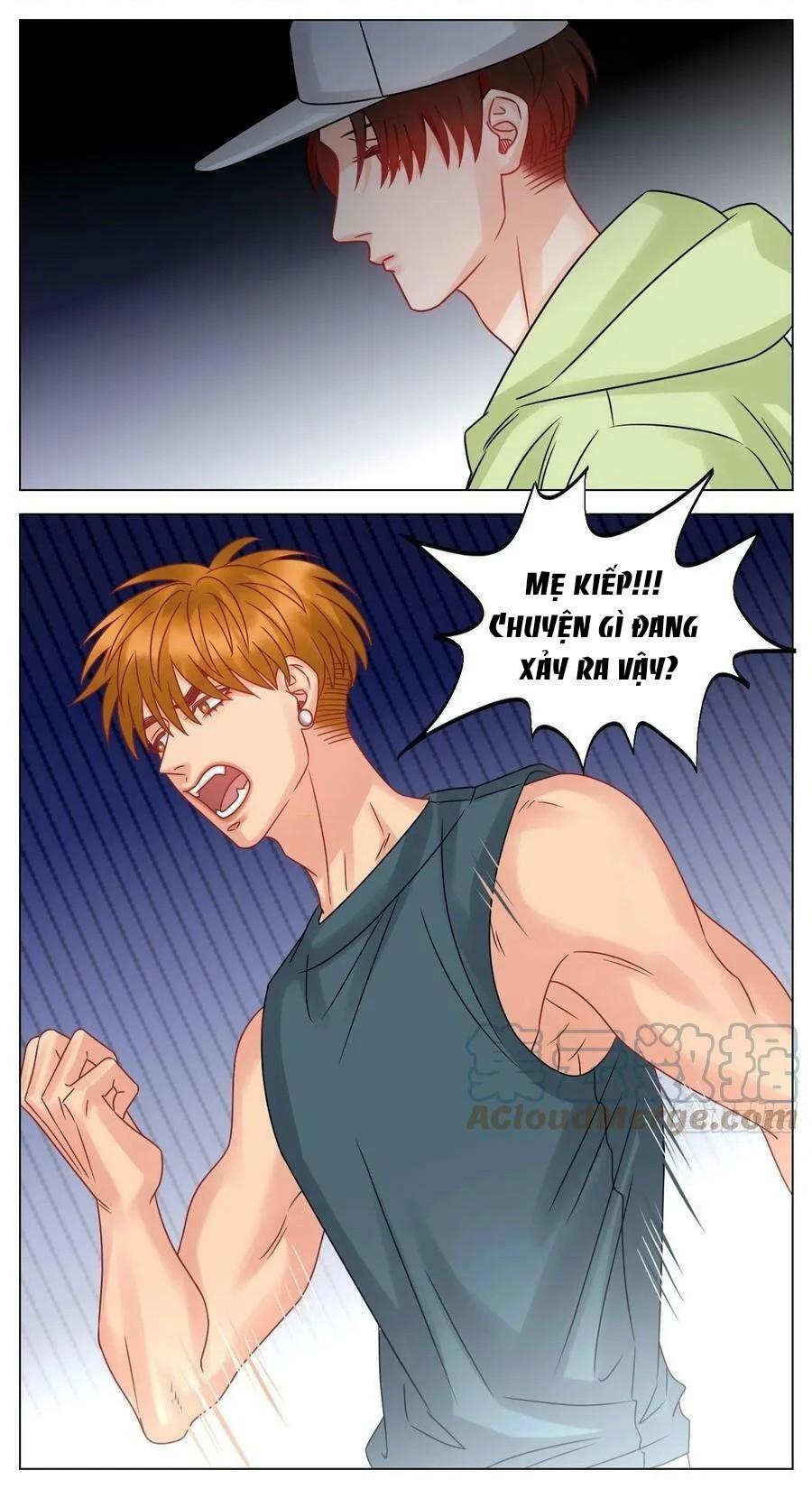 Ký Túc Xá Nam Phòng 303 Chapter 205 - Trang 2