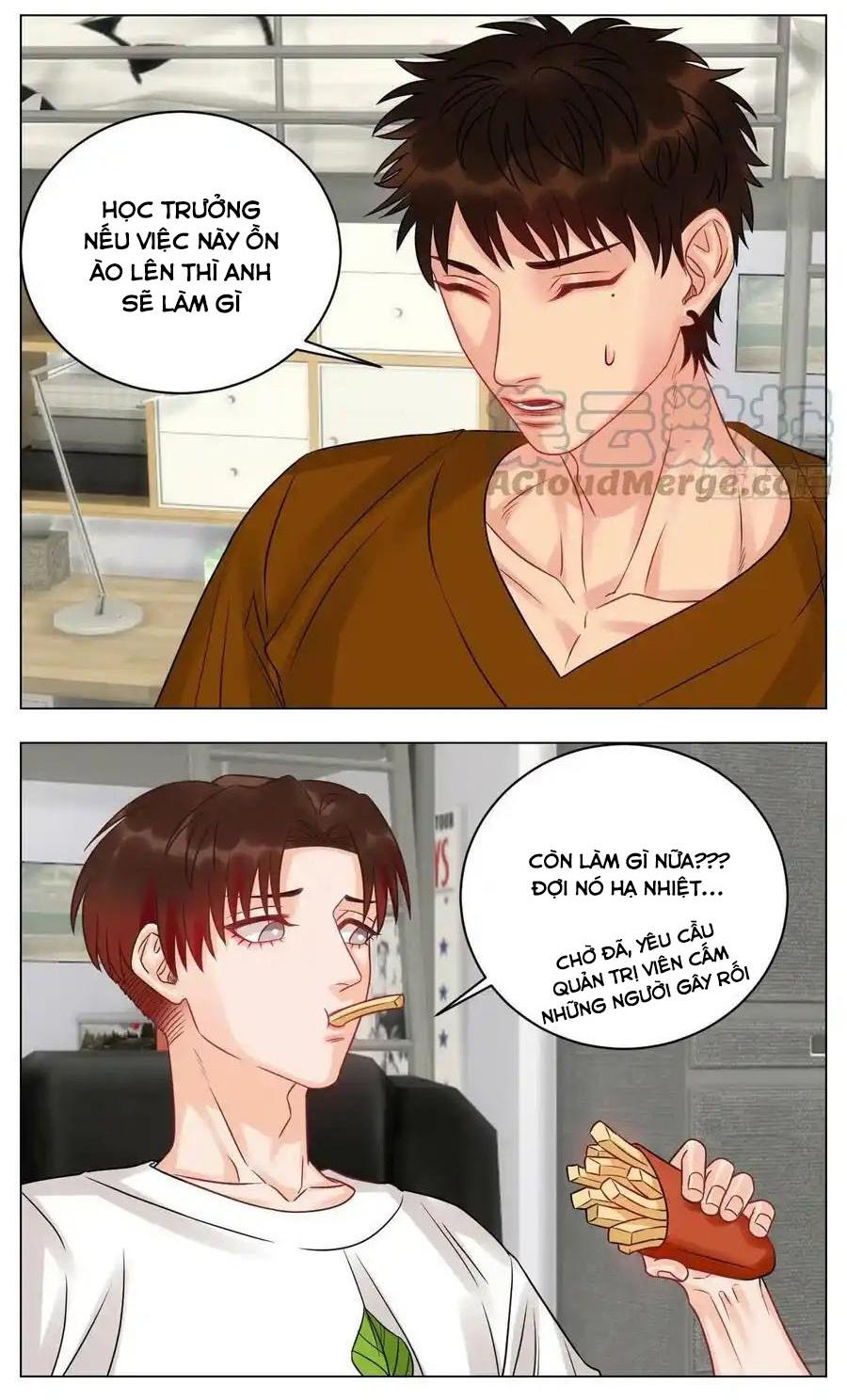 Ký Túc Xá Nam Phòng 303 Chapter 211 - Trang 2