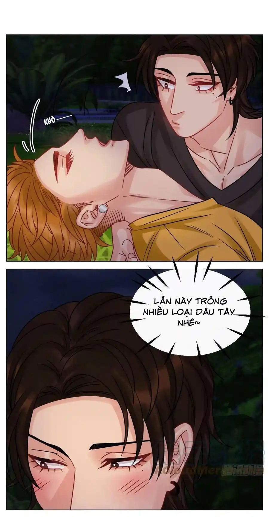 Ký Túc Xá Nam Phòng 303 Chapter 214 - Trang 2