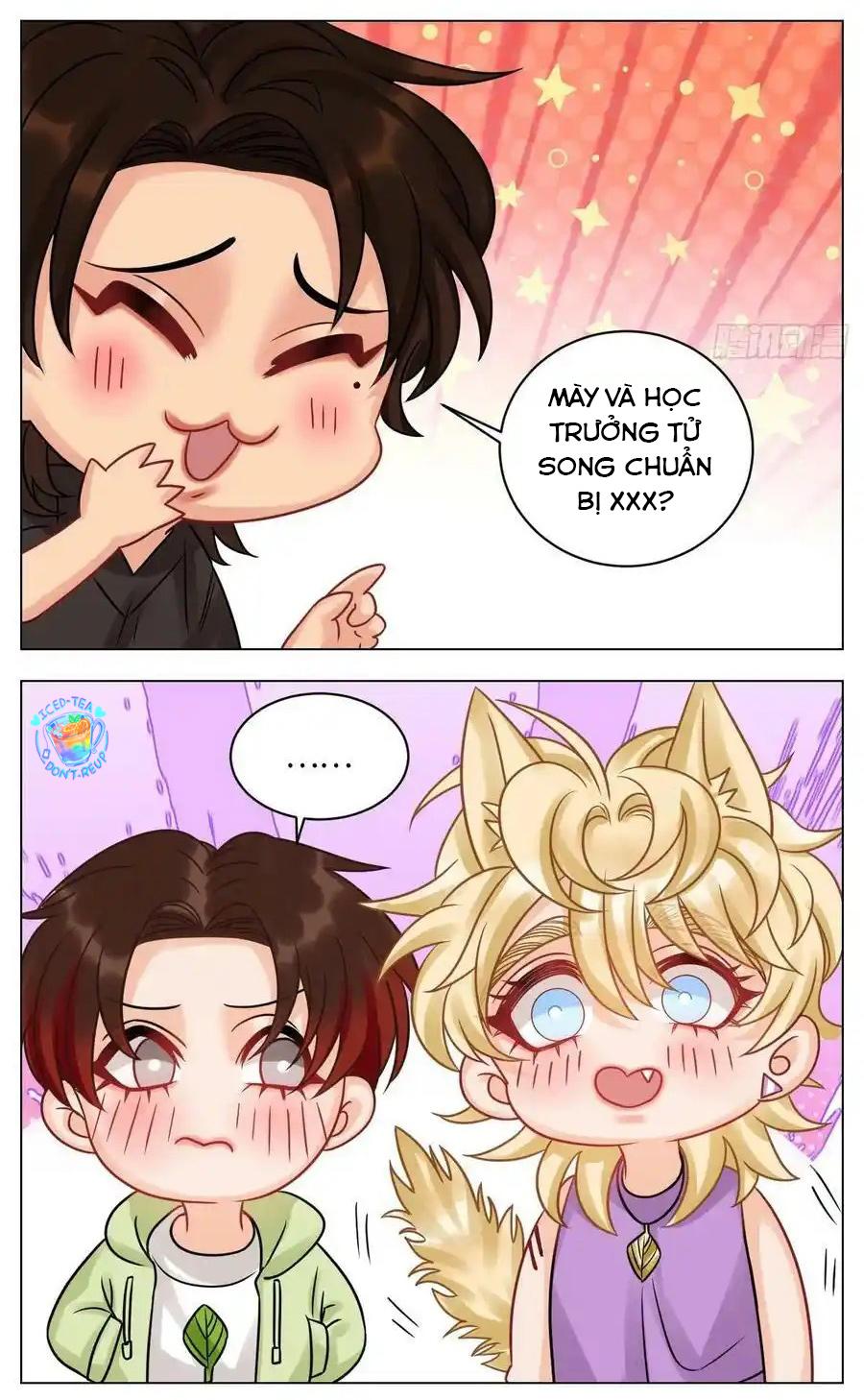 Ký Túc Xá Nam Phòng 303 Chapter 214 - Trang 2