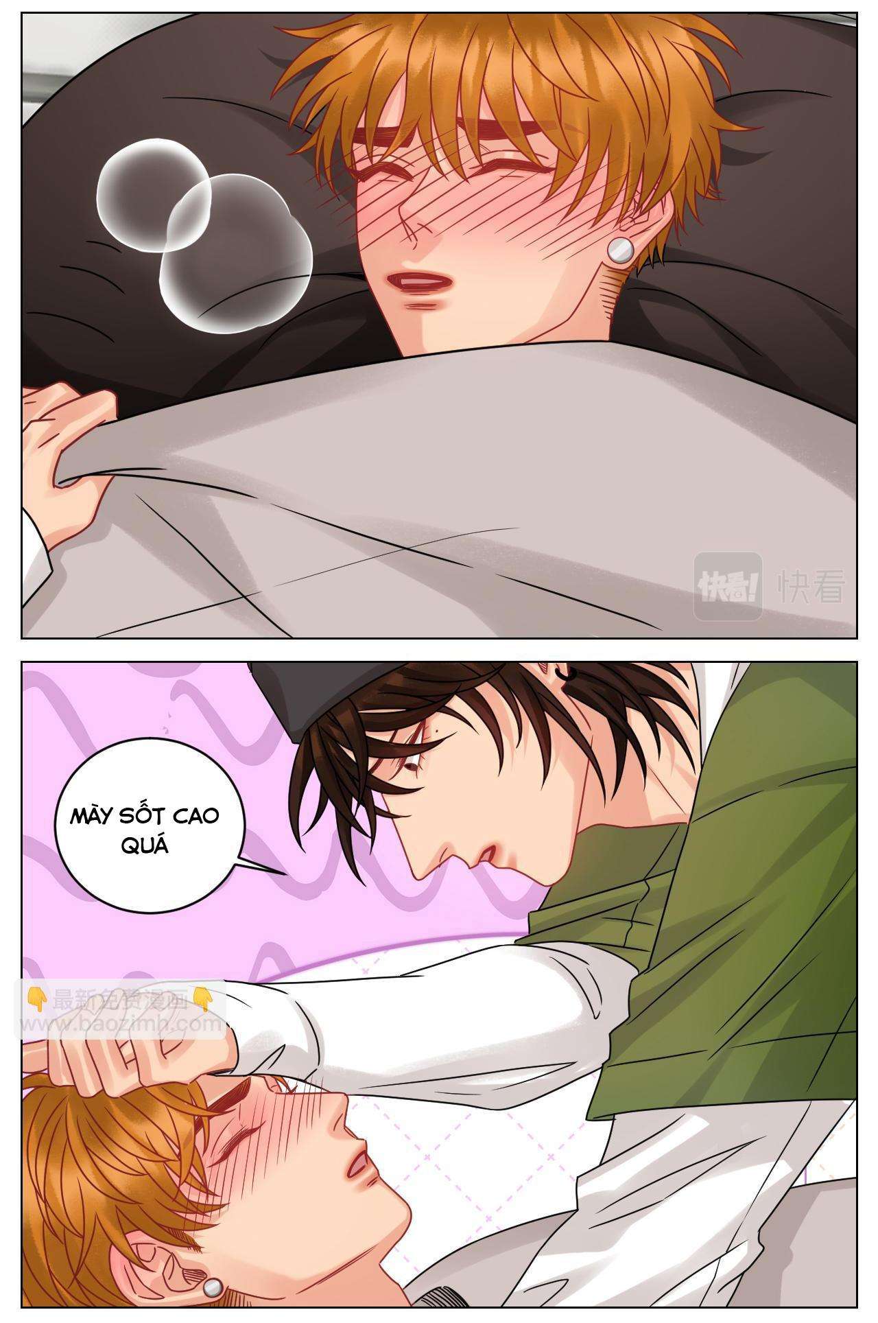 Ký Túc Xá Nam Phòng 303 Chapter 219 - Trang 2