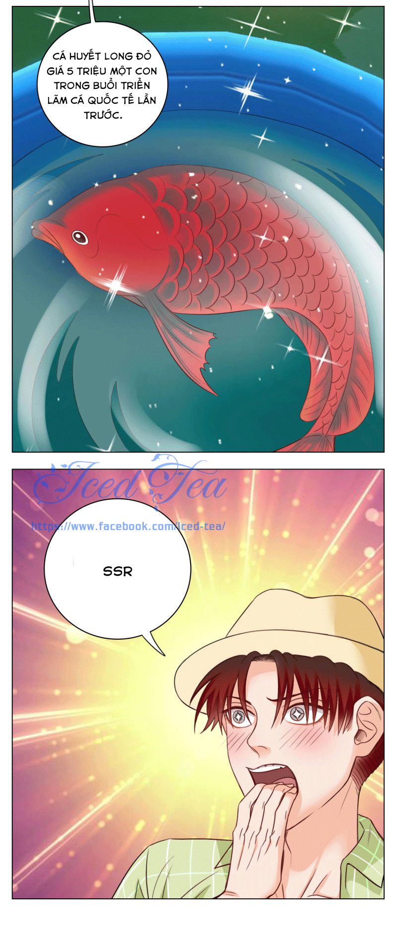 Ký Túc Xá Nam Phòng 303 Chapter 22 - Trang 2