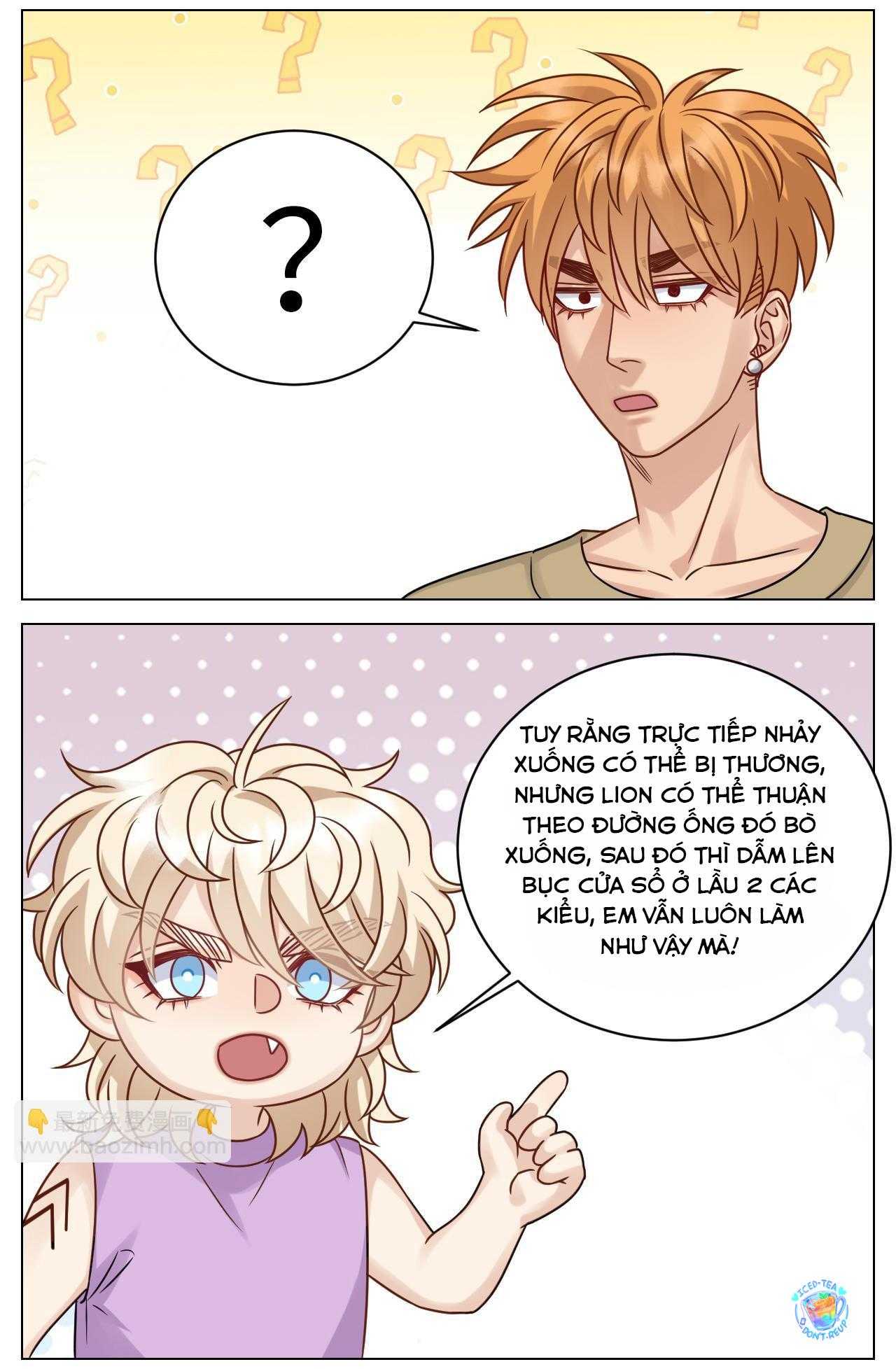 Ký Túc Xá Nam Phòng 303 Chapter 221 - Trang 2