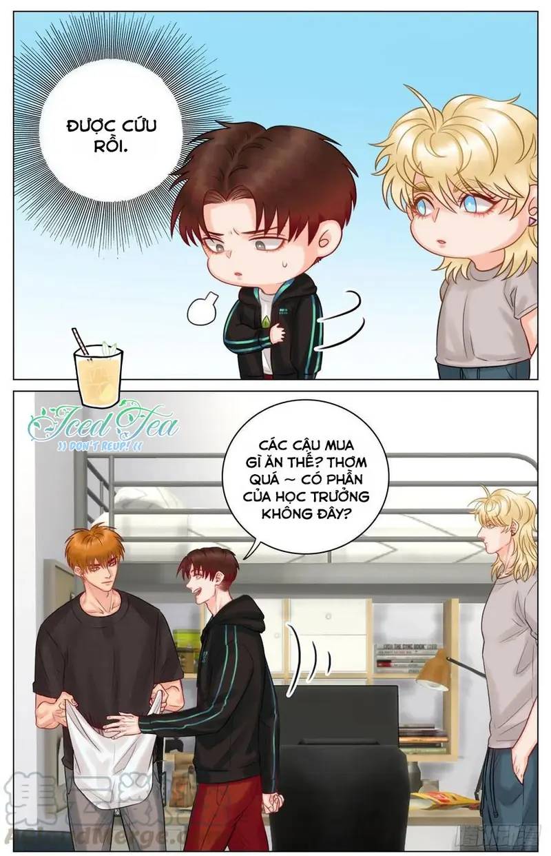 Ký Túc Xá Nam Phòng 303 Chapter 44 - Trang 2