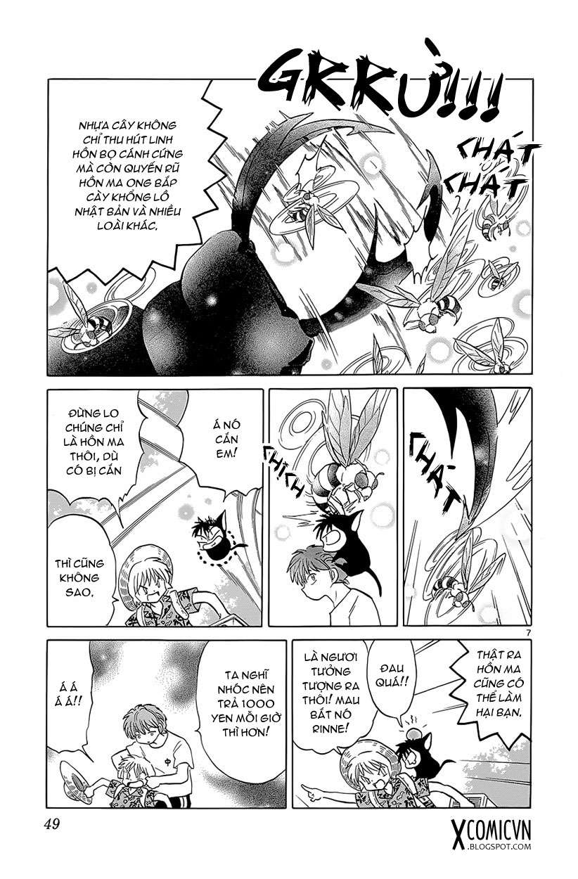 Kyoukai No Rinne Chapter 201 - Trang 2