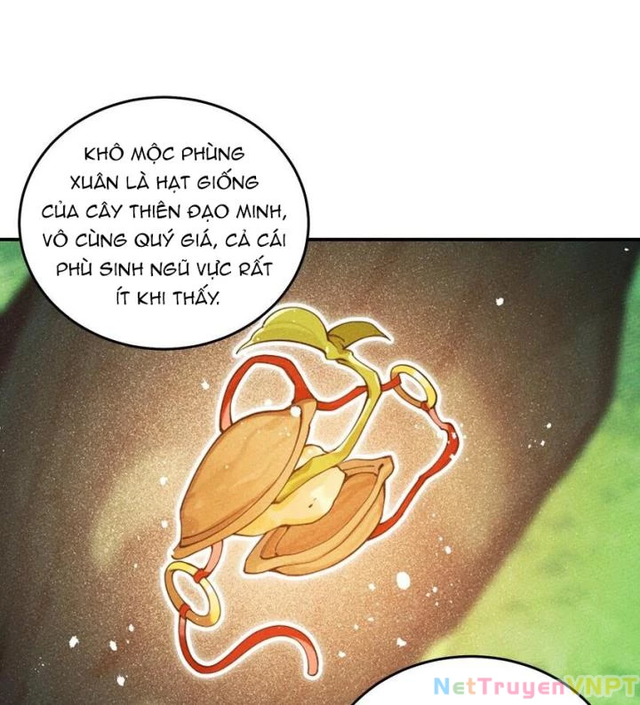 Là Thánh Hoàng Chính Đạo, Ta Cưới Ma Tôn Tà Đạo?! Chapter 101 - Trang 2