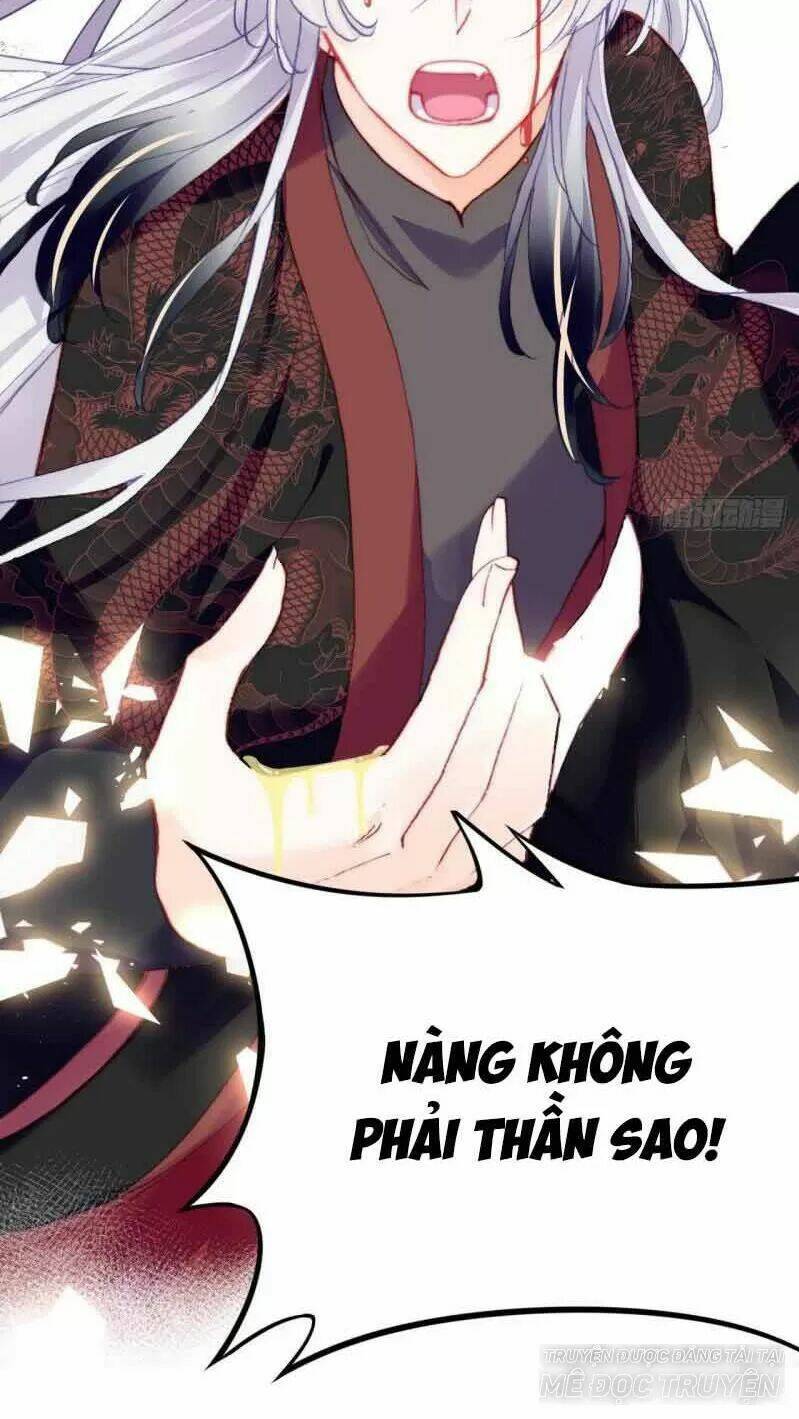 Lại Bị Bệnh Chiều Chuộng Quấn Lấy Chapter 0 - Trang 2