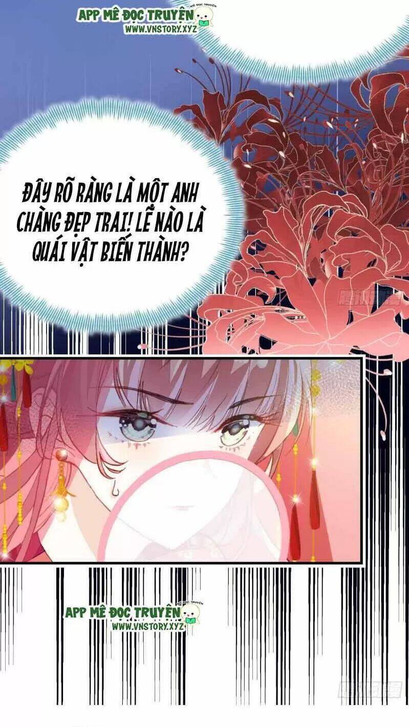 Lại Bị Bệnh Chiều Chuộng Quấn Lấy Chapter 1 - Trang 2