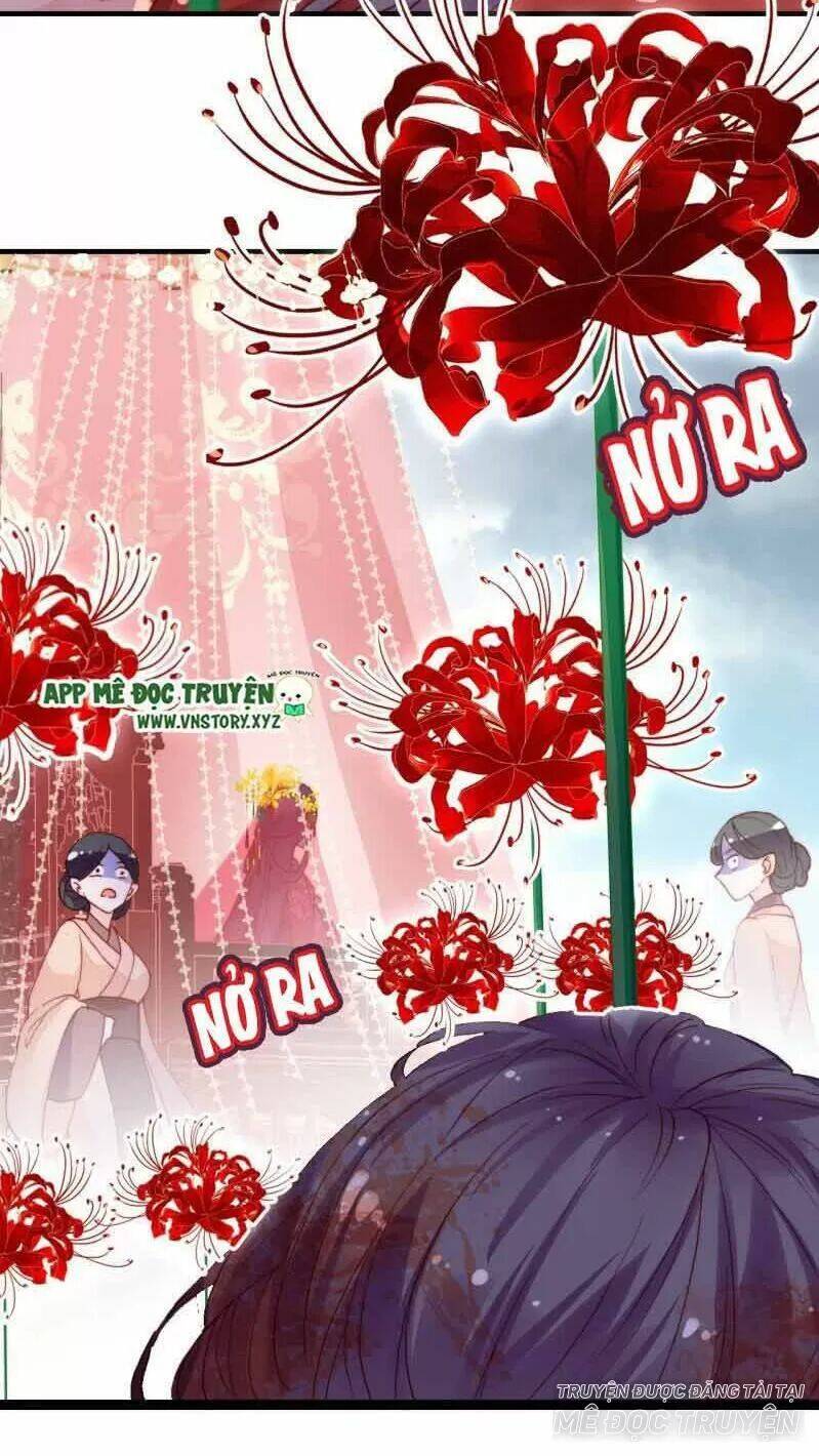 Lại Bị Bệnh Chiều Chuộng Quấn Lấy Chapter 1 - Trang 2