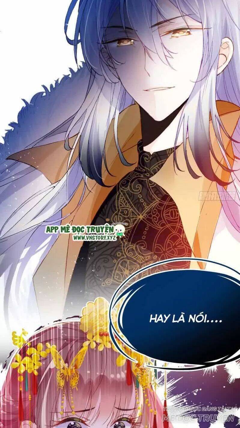 Lại Bị Bệnh Chiều Chuộng Quấn Lấy Chapter 1 - Trang 2