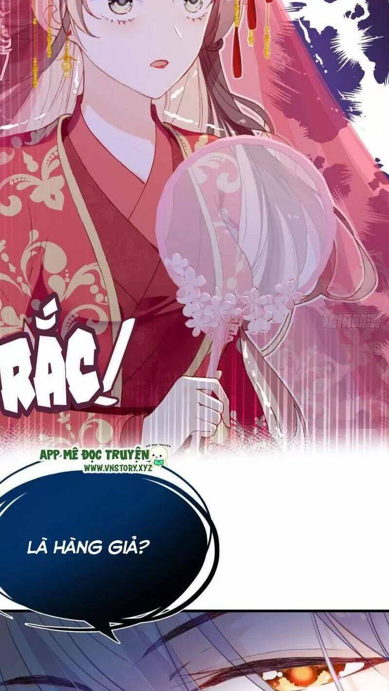 Lại Bị Bệnh Chiều Chuộng Quấn Lấy Chapter 1 - Trang 2