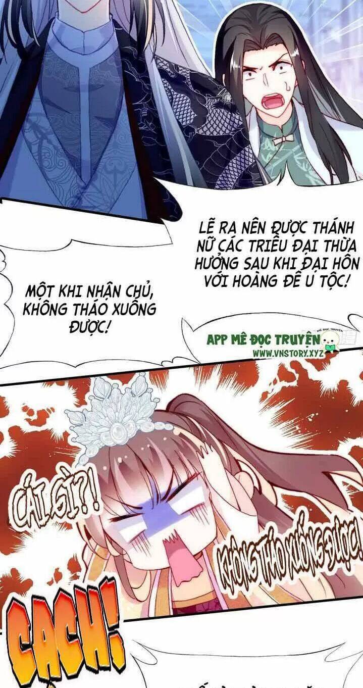 Lại Bị Bệnh Chiều Chuộng Quấn Lấy Chapter 10 - Trang 2