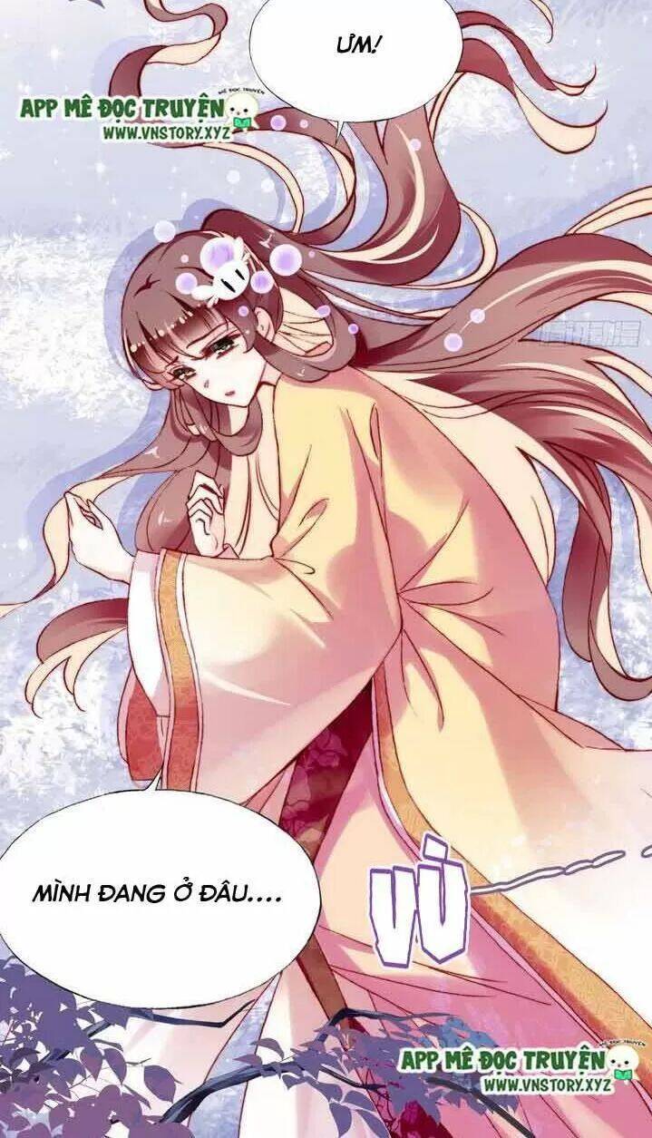 Lại Bị Bệnh Chiều Chuộng Quấn Lấy Chapter 11 - Trang 2