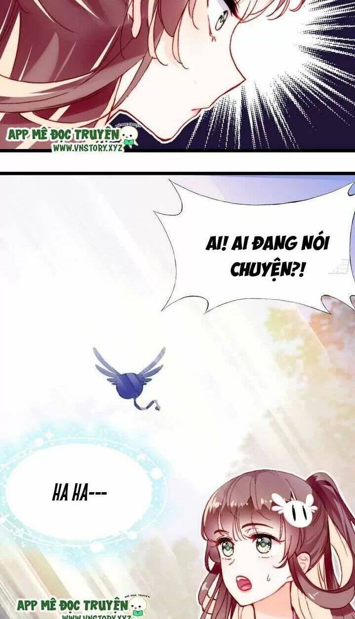 Lại Bị Bệnh Chiều Chuộng Quấn Lấy Chapter 11 - Trang 2