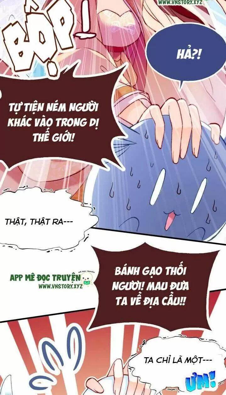 Lại Bị Bệnh Chiều Chuộng Quấn Lấy Chapter 11 - Trang 2